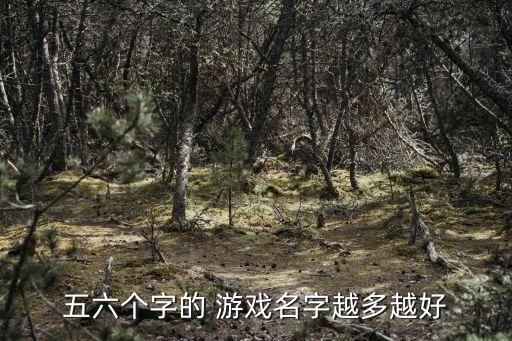 五個(gè)字的游戲名,第二集:我還能玩什么游戲?