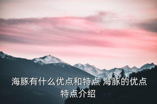 海豚的特點,從海豚嘴里噴出的海豚