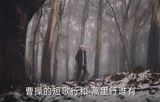 蒿里行曹操,曹操對酒唱