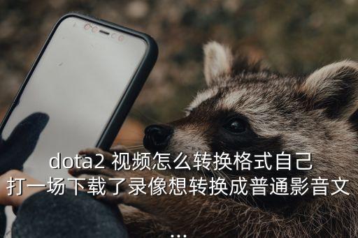  dota2 視頻怎么轉換格式自己打一場下載了錄像想轉換成普通影音文...