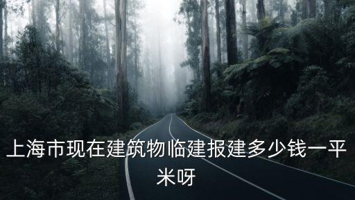 上海市現在建筑物臨建報建多少錢一平米呀