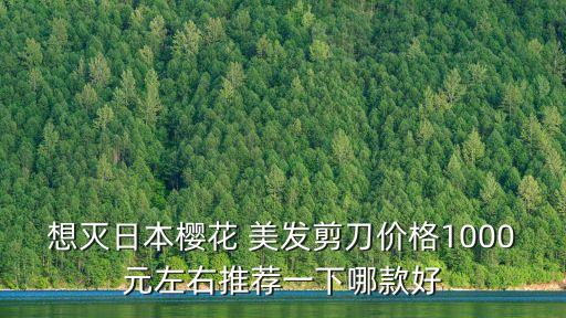 想滅日本櫻花 美發(fā)剪刀價格1000元左右推薦一下哪款好