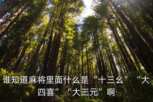 混幺九,十三張不重復牌組成十三孤