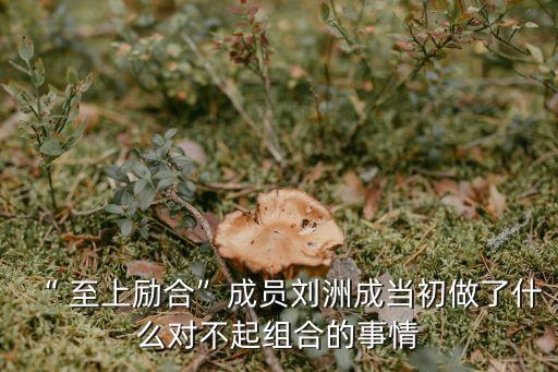 “ 至上勵合”成員劉洲成當初做了什么對不起組合的事情