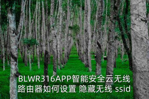 BLWR316APP智能安全云無線路由器如何設置 隱藏無線 ssid