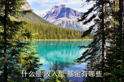 什么是 收入型 基金有哪些