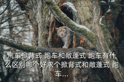 汽車掀背式 跑車和敞蓬式 跑車有什么區(qū)別哪個(gè)好求個(gè)掀背式和敞蓬式 跑車...