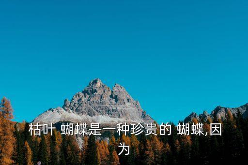 枯葉蝴蝶,枯葉蝴蝶:比蝴蝶更聰明比枯葉更美麗
