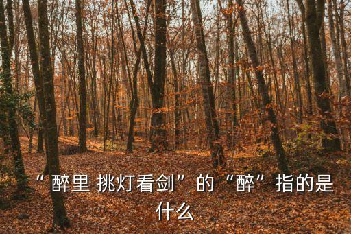 “ 醉里 挑燈看劍”的“醉”指的是什么