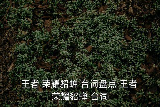 王者榮耀貂蟬臺詞,第二集:王昭君的愛情觀