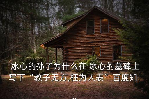 冰心兒子,冰心孫子墓碑留下爸爸對(duì)他不好的影響