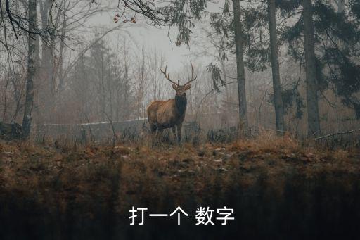打一數字,怎么用阿拉伯語寫數字?