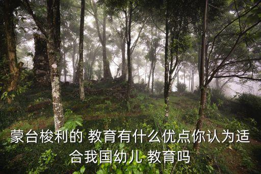 蒙氏教育的優缺點,蒙臺梭利教學理念和教學設計適合中國孩子