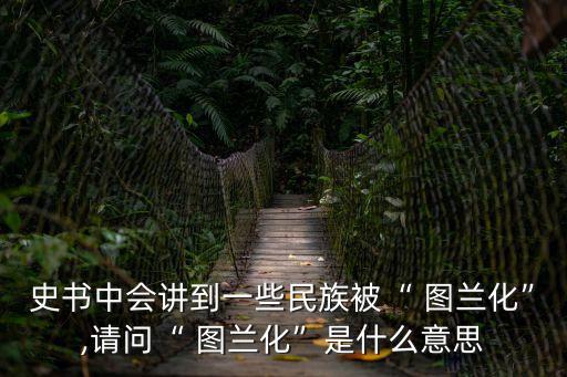史書中會講到一些民族被“ 圖蘭化”,請問“ 圖蘭化”是什么意思