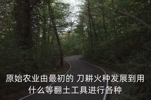 刀耕火種,中國古代農(nóng)業(yè)生產(chǎn)方式:刀耕火種