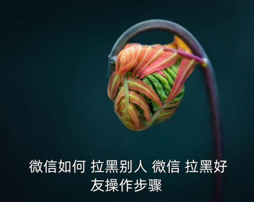 微信怎么拉黑別人,微信how拉黑其他和恢復(fù)好友?