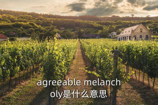 agreeable melancholy是什么意思