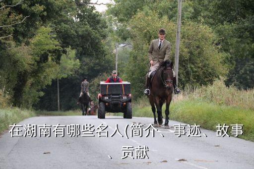 黃興簡介,黃庭堅與蘇軾并稱蘇黃