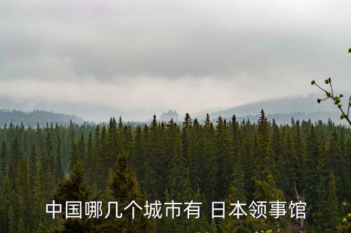 日本駐華大使館,廣西壯族自治區地址東塔日本駐沈陽總領事館