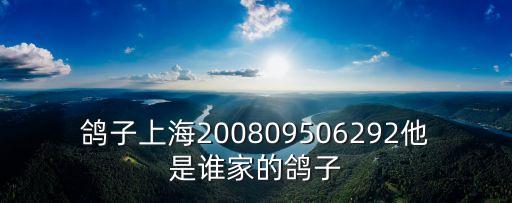 上海市飛翔信鴿俱樂部，鴿子上海200809506292他是誰家的鴿子