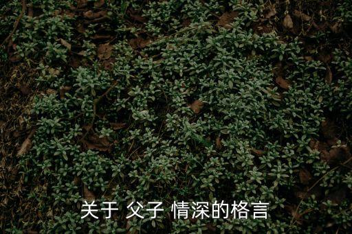 關于 父子 情深的格言