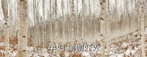 孕婦瑜伽,瑜伽呼吸法，冥想階段使身心健康