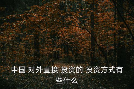 中國 對外直接 投資的 投資方式有些什么