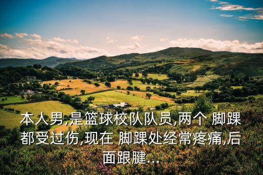 本人男,是籃球校隊隊員,兩個 腳踝都受過傷,現在 腳踝處經常疼痛,后面跟腱...
