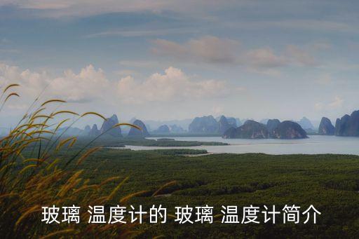 玻璃溫度計,玻璃溫度計可放在桌面上測量液體溫度