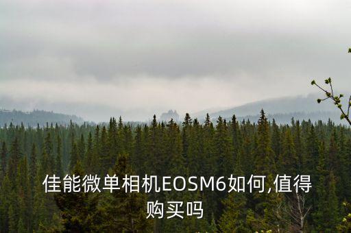 佳能eosm6,罕見復古風格佳能鏡頭首次亮相