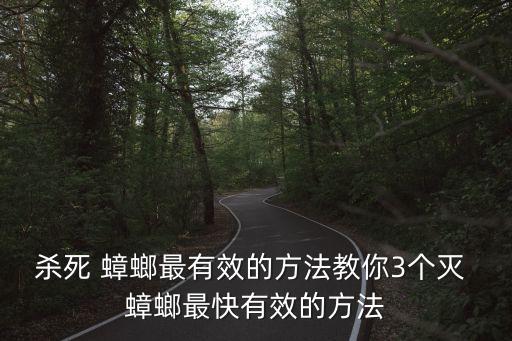 殺死 蟑螂最有效的方法教你3個滅 蟑螂最快有效的方法