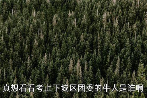 真想看看考上下城區團委的牛人是誰啊