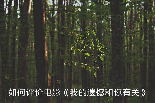 如何評價電影《我的遺憾和你有關(guān)》