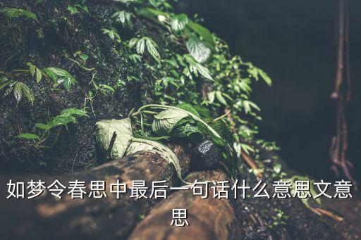 如夢令春思，如夢令春思中最后一句話什么意思文意思
