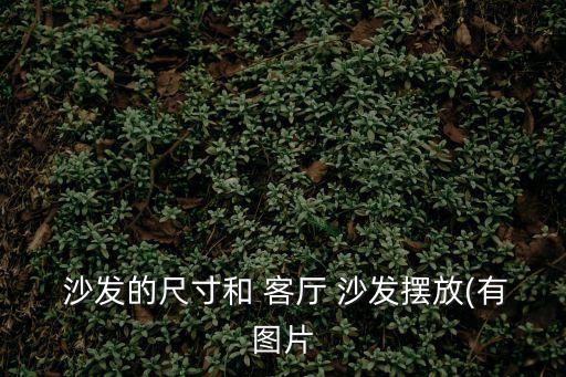  沙發的尺寸和 客廳 沙發擺放(有圖片