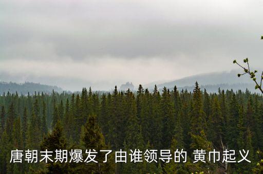 唐朝末期爆發了由誰領導的 黃巾起義
