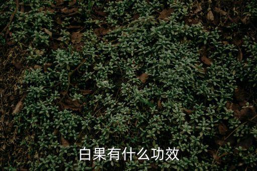 白果有什么功效