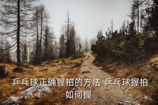 乒乓球握拍姿勢,正手握拍技術提升斜握球拍技法