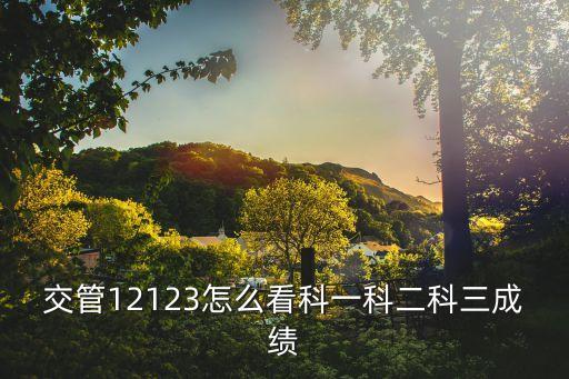 交管12123怎么看科一科二科三成績