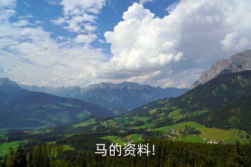 馬的介紹,馬來西亞最怕馬蜂!馬上唇發達能吃很多草