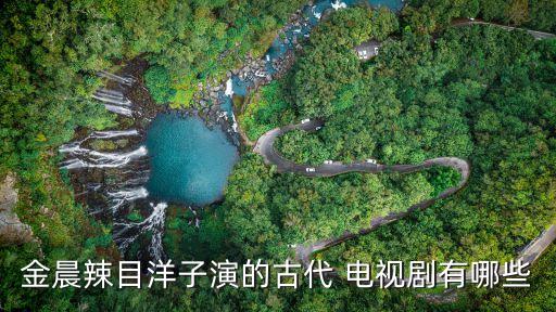 金晨演的電視劇,《最好的家庭》講述主婦尋找新自我涅槃重生