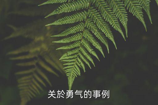 關於勇氣的事例