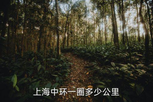 上海中環一圈多少公里