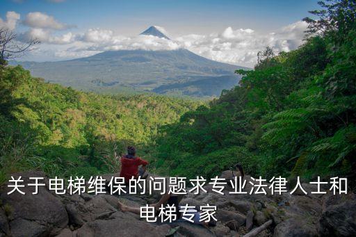 上海市電梯安裝保養法規，關于電梯維保的問題求專業法律人士和電梯專家