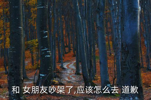 和 女朋友吵架了,應該怎么去 道歉