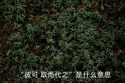 “彼可 取而代之”是什么意思