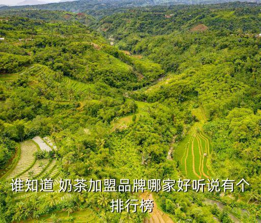 誰(shuí)知道 奶茶加盟品牌哪家好聽說有個(gè) 排行榜