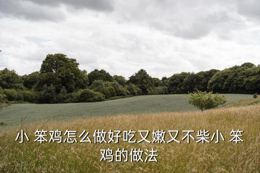 小 笨雞怎么做好吃又嫩又不柴小 笨雞的做法