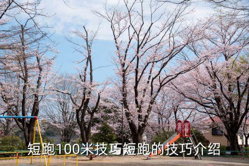 100米跑步技巧,百米跑的五個關(guān)鍵點(diǎn)