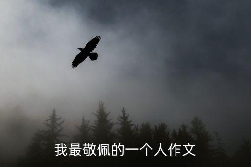 我最敬佩的一個人作文